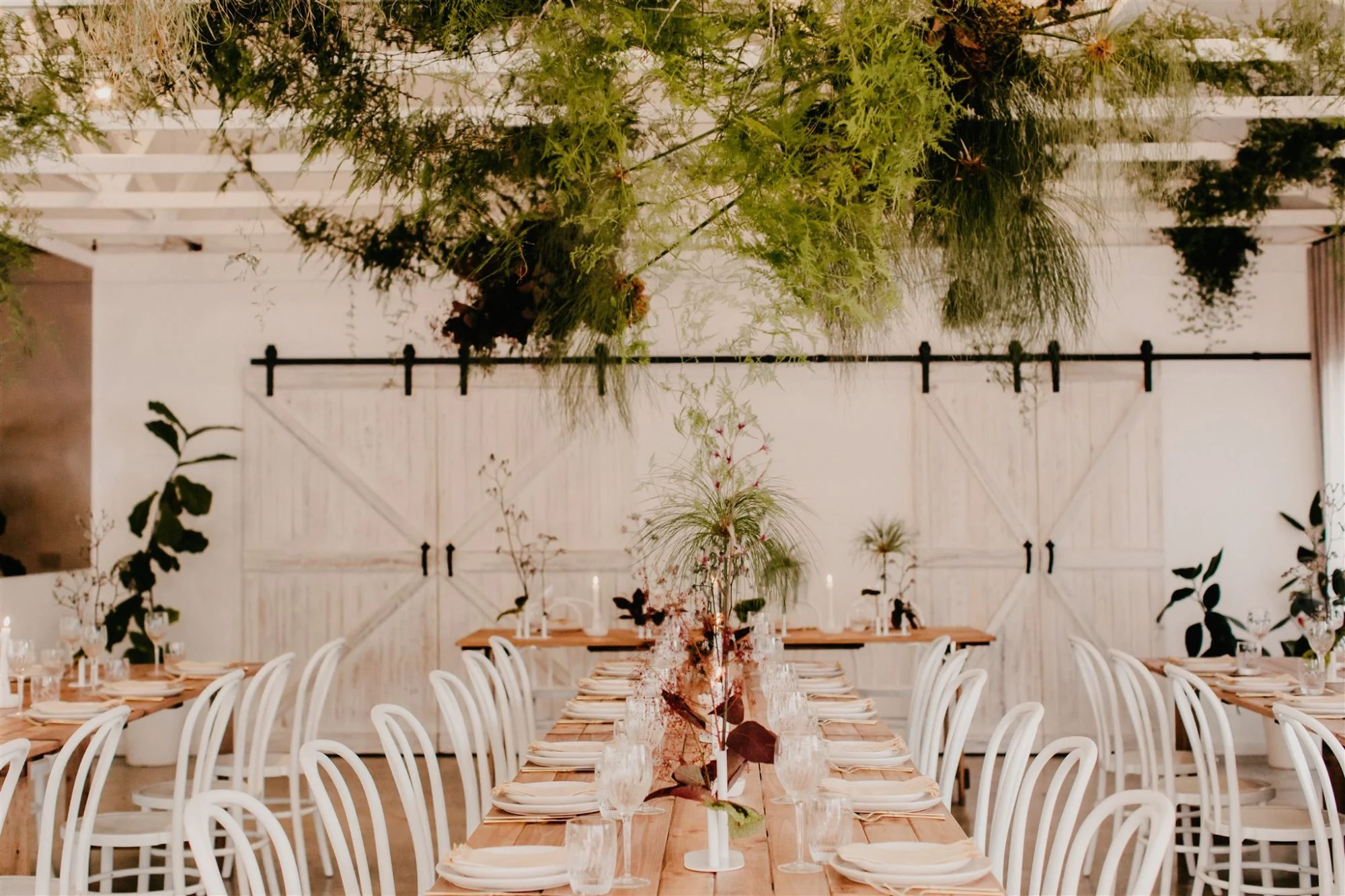Long timber banquet tables with white bentwood chairs beneath a ceiling of hanging ferns and foliage, in front of whitewashed sliding barn doors